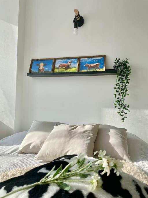 Apartamento La Mascotte Saint-Louis  Exterior foto